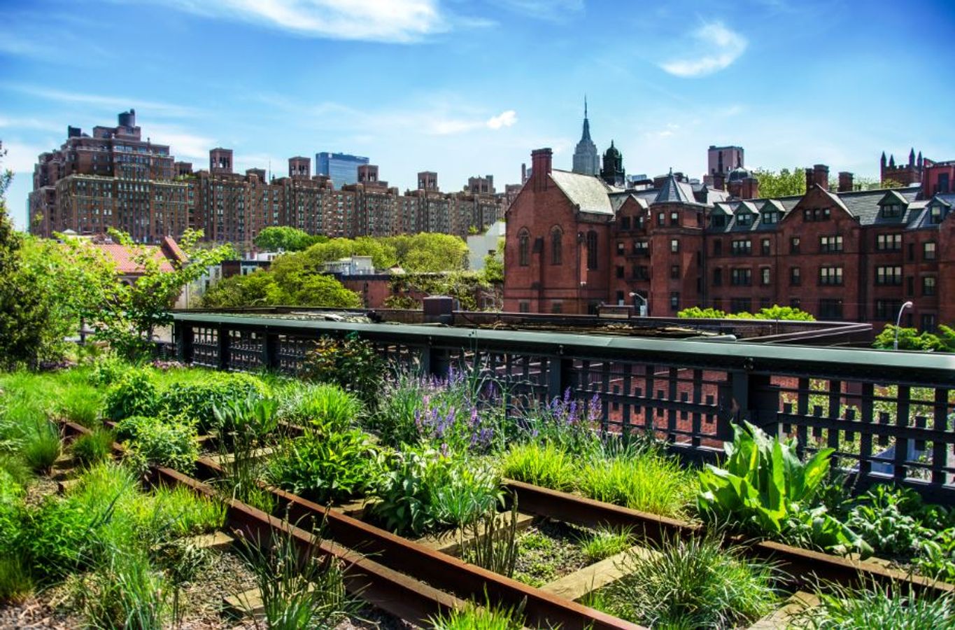 1ère matinale de "l'agriculture urbaine : une solution pour un projet d'aménagement résilient et inclusif ?"