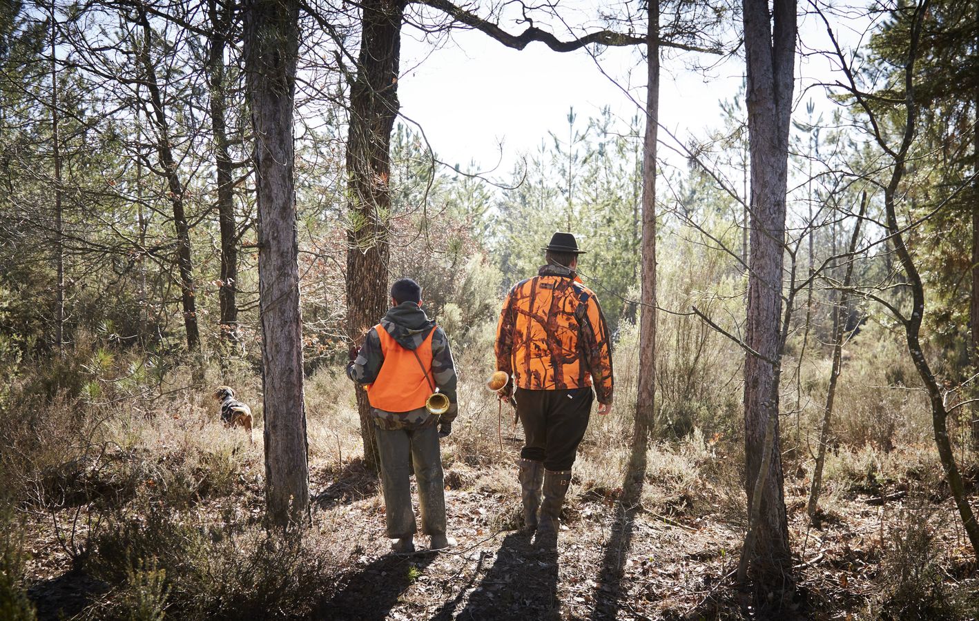 Activités de pleine nature et chasse : quelles conciliations possibles ? Retour d'expérience du PNR des Ardennes