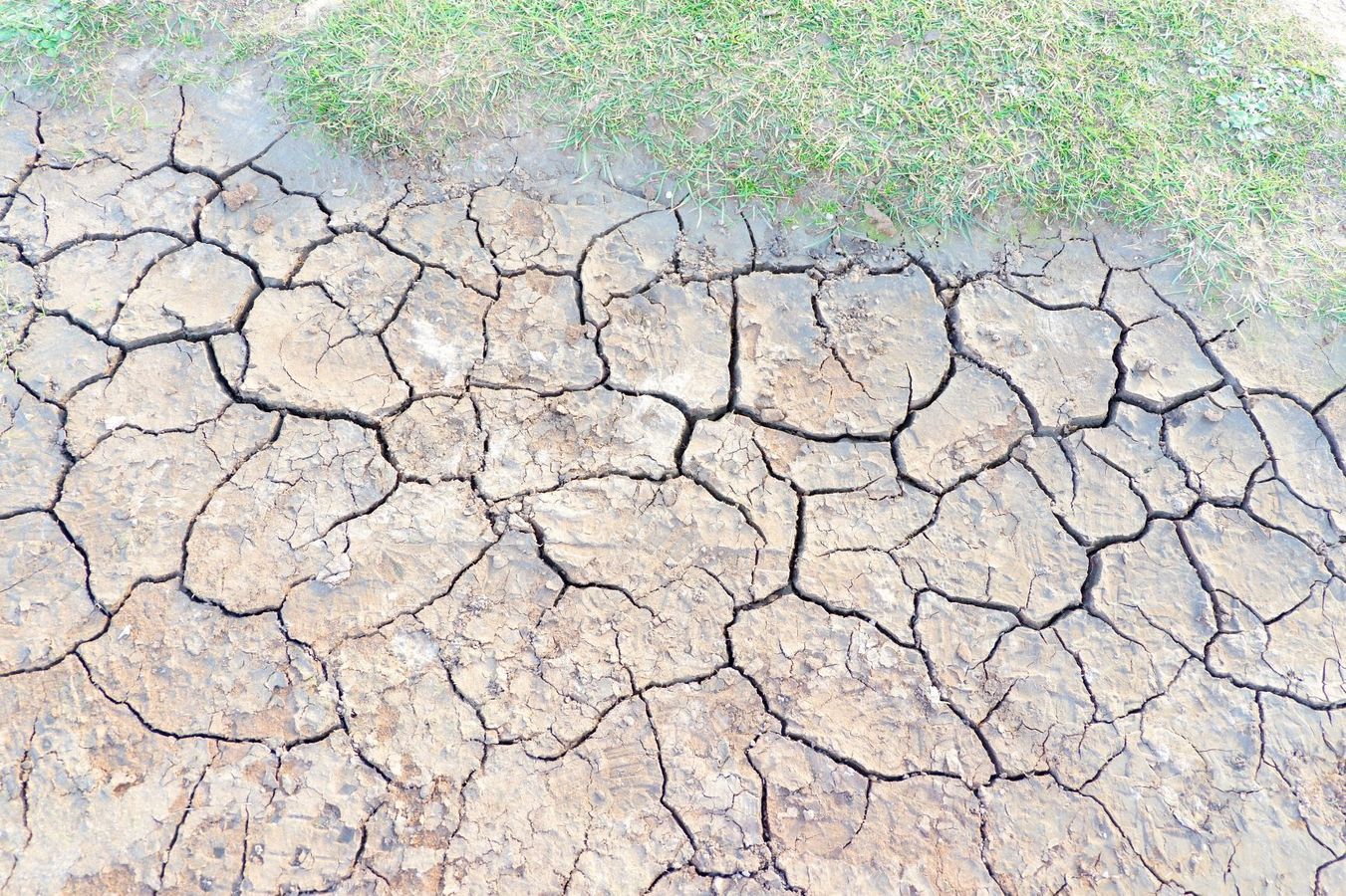 Impacts du retrait-gonflement des argiles et de la sécheresse sur les ouvrages et nouvelles solutions de confortement