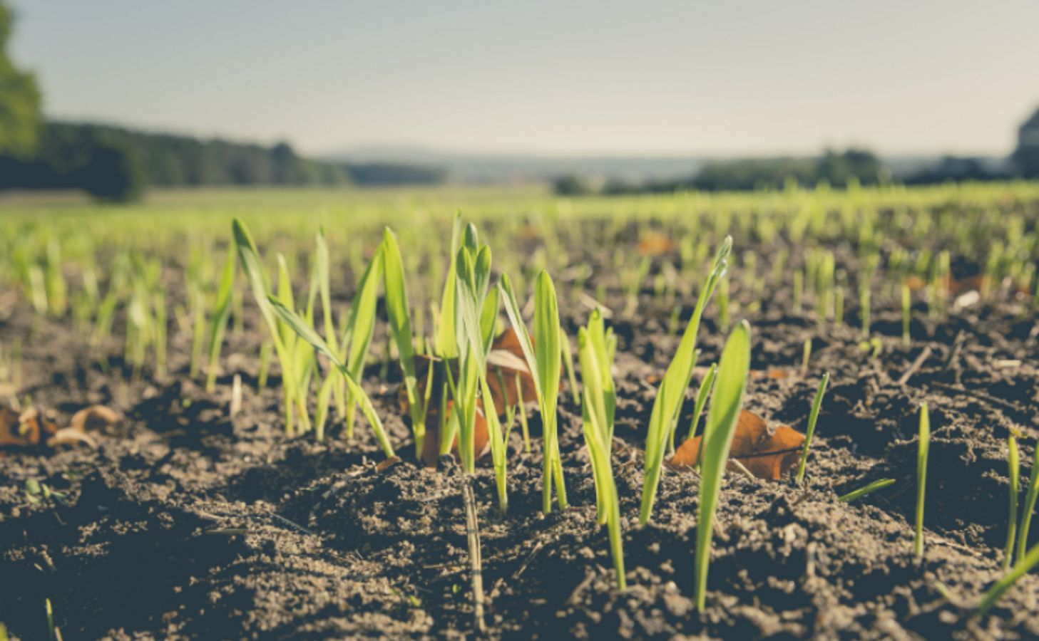 Transition alimentaire des territoires : Comment mobiliser votre foncier agricole pour des projets agroécologiques