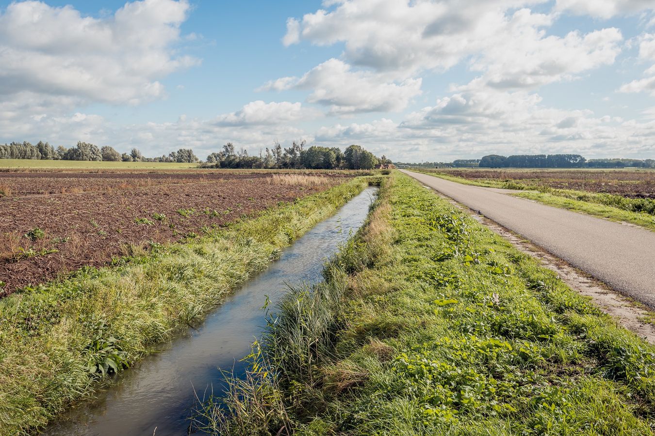 #ANB2020 - V15. Bords de champs - Appui au développement et à la restauration des bordures via un plan de gestion territoriale