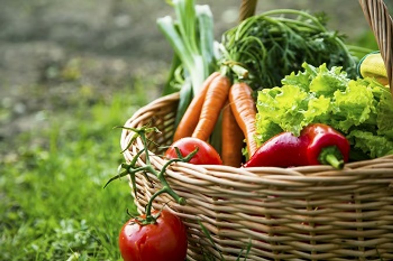 Somme-Produits locaux : 10 ans d'une démarche innovante associant la restauration des collèges et les producteurs locaux