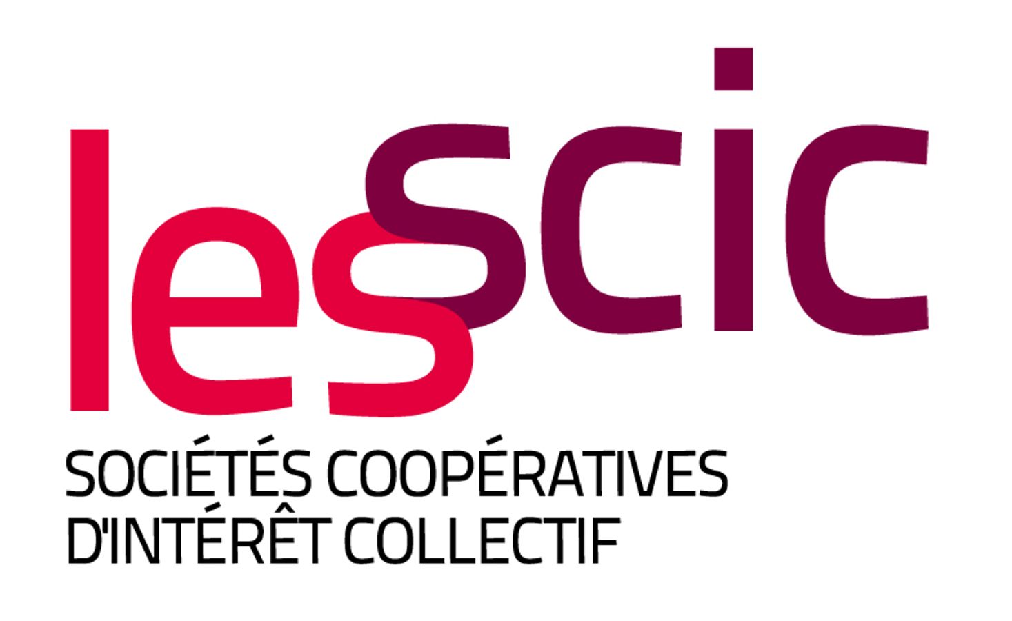 Sociétés Coopératives d'Intérêt Collectif (SCIC) et collectivités locales