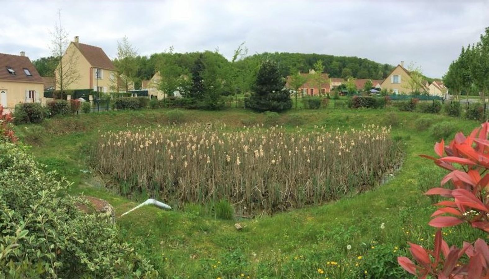☔💦Objectif 0 rejet d'eau de pluie dans le réseau unitaire : l'exemple de Crépy-en-Valois