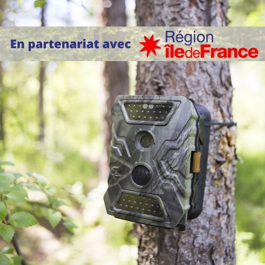 Outils de lutte contre les dépôts sauvages : pièges photos, drones et vidéoprotection