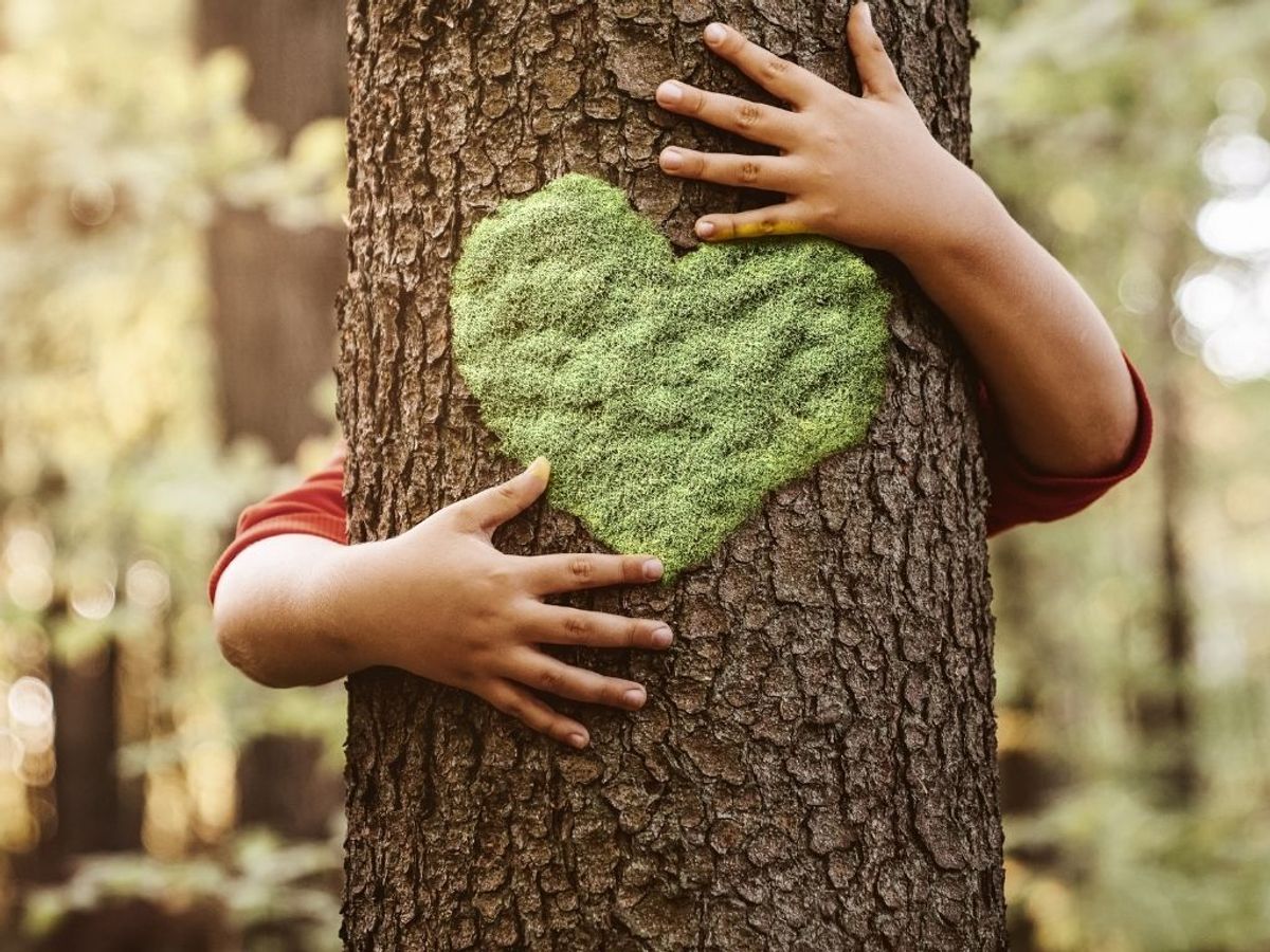La nature comme outil pédagogique en petite enfance