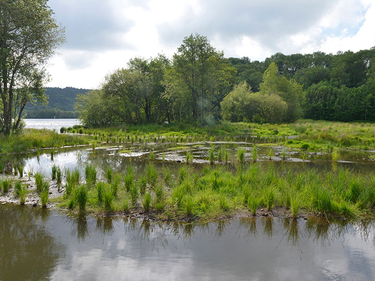 #CGLE 2021 - C18 - La nature, une alliée et des solutions pour la gestion de l’eau