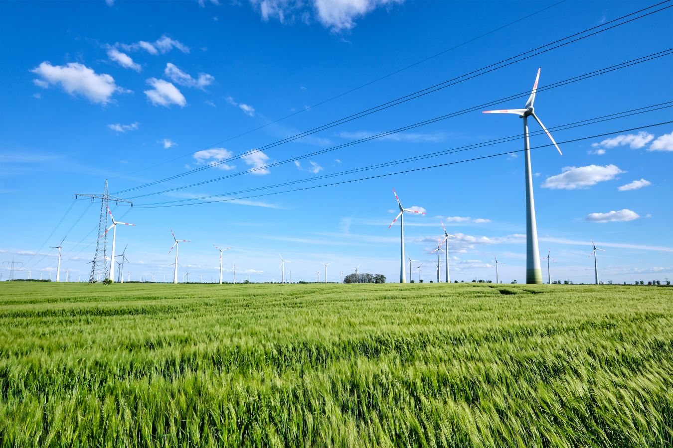 Une politique locale intégrée de transition énergétique sur le territoire du parc naturel régional des Grands Causses