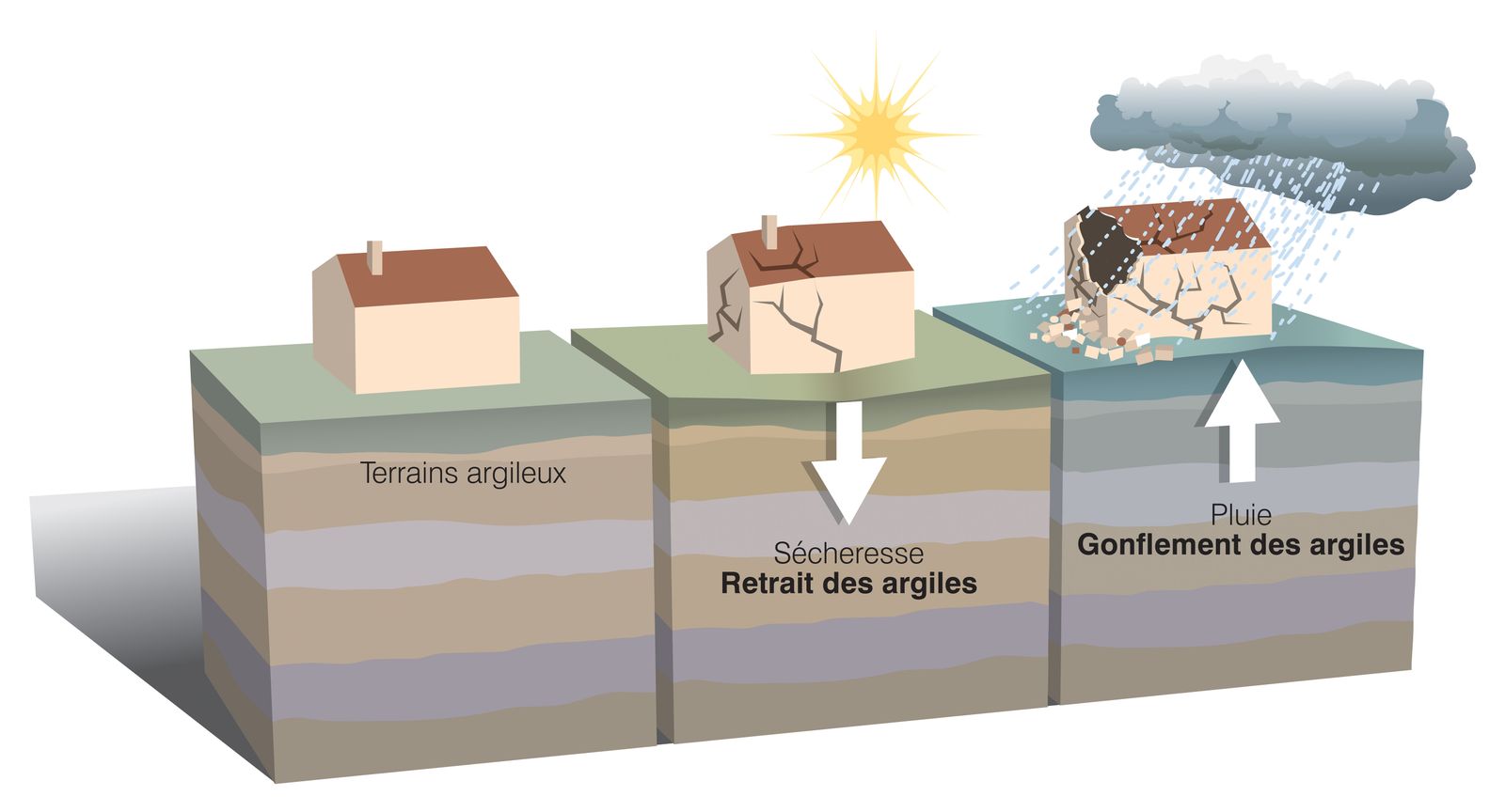 Comment le changement climatique impacte la résilience du sol ? Le risque du retrait-gonflement des argiles.