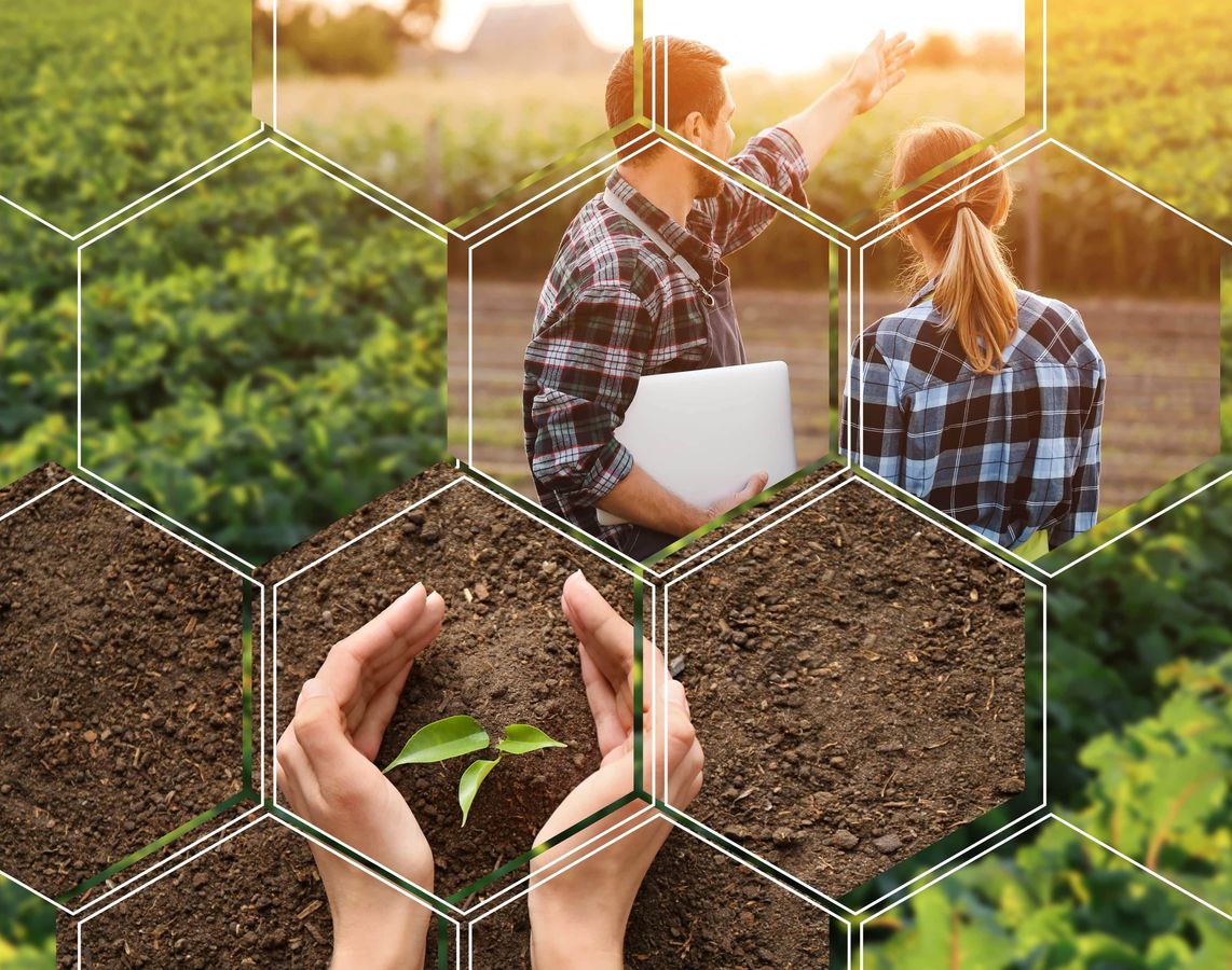 La mise en place de Scic au service de l’économie agricole