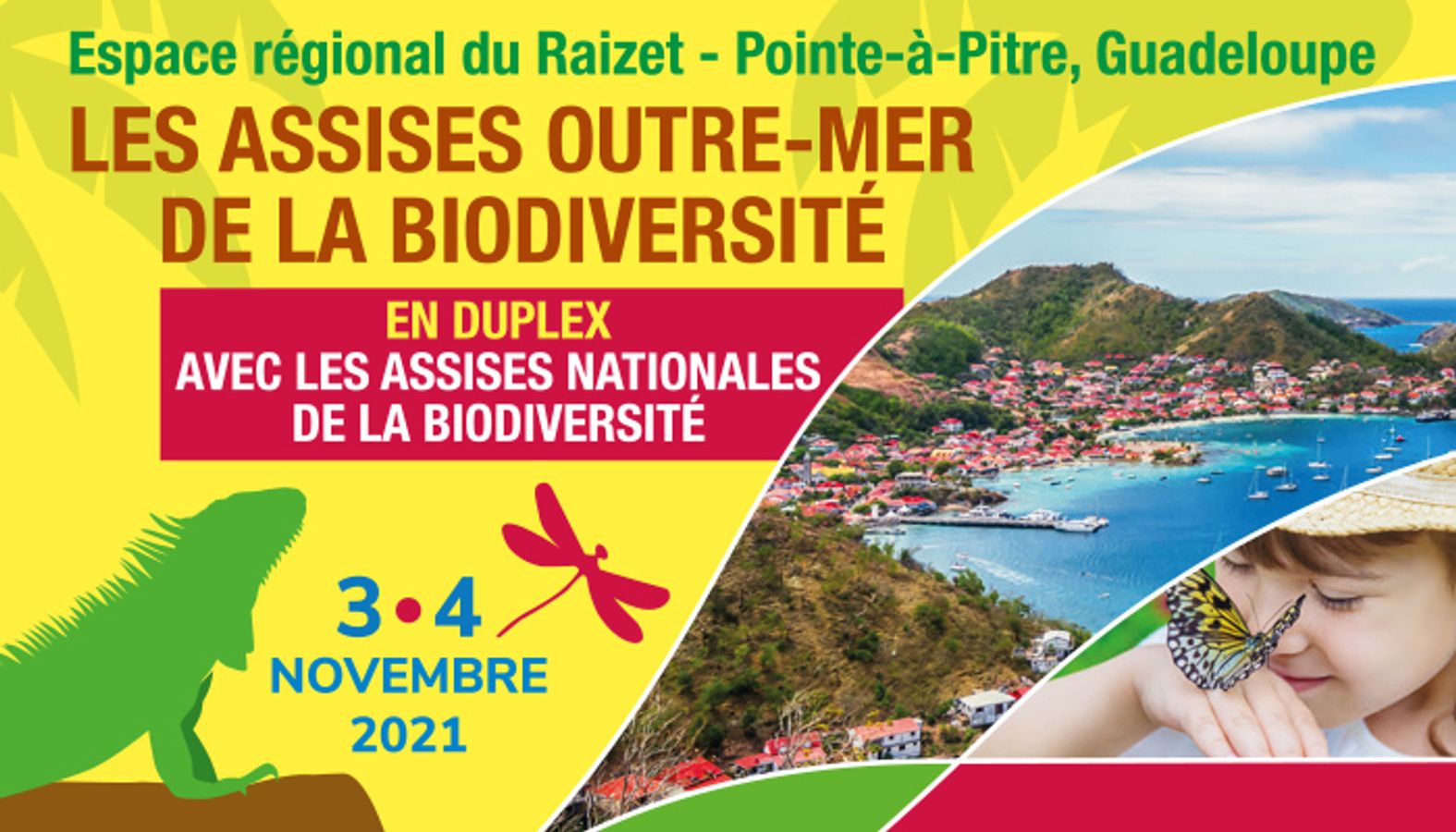 Parc marin et candidature des volcans et forêts du Nord de la Martinique au patrimoine mondial de l'UNESCO : quelle plus-value et incidences sur la biodiversité ?