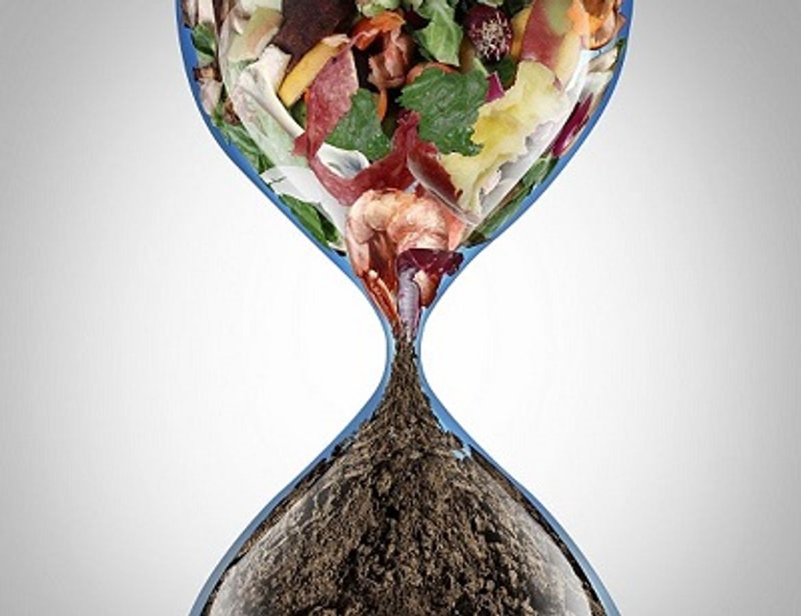 Temps d'échanges : Biodéchets, où en êtes-vous ?