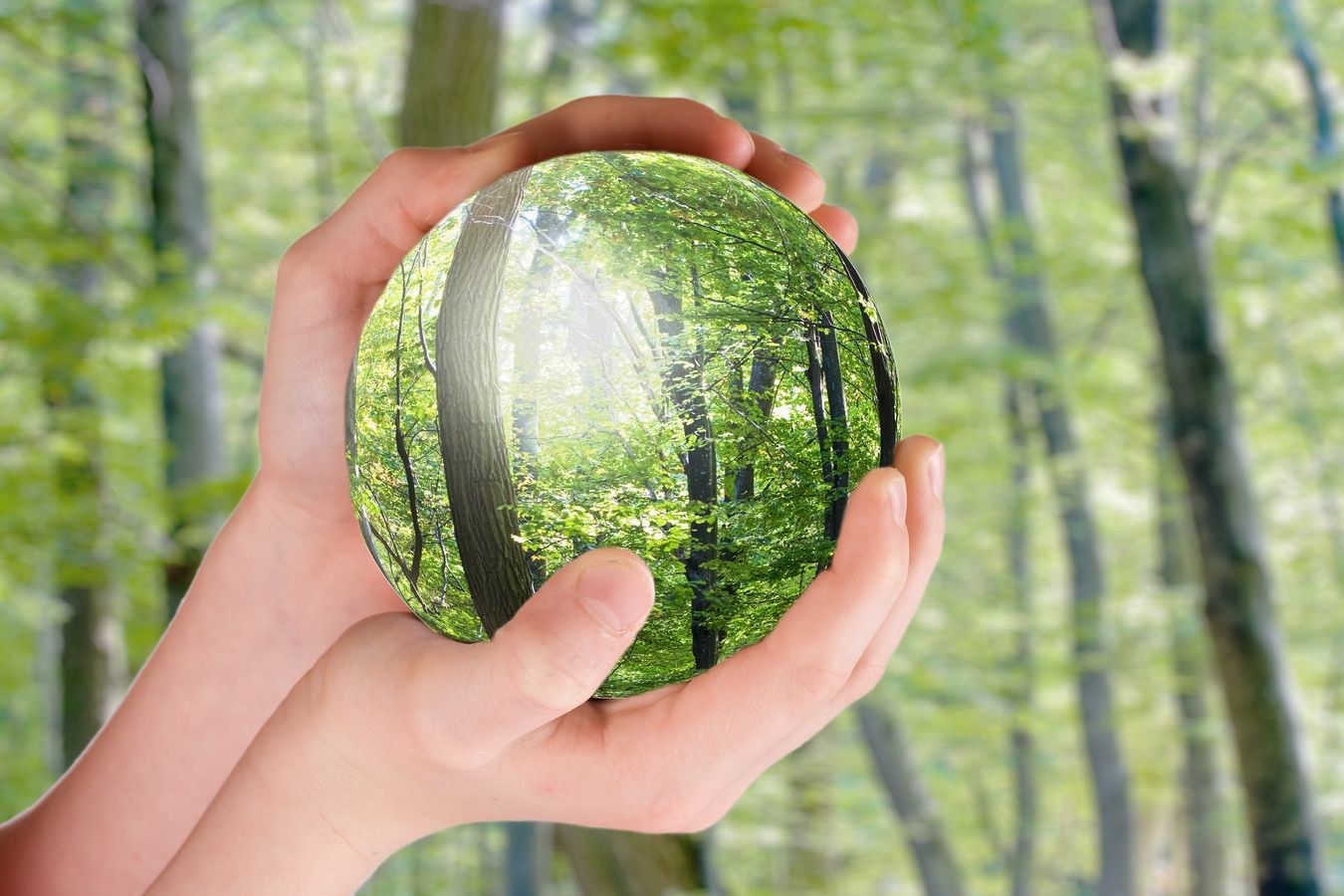 Engagez vos écoles et leurs élèves dans la transition écologique !