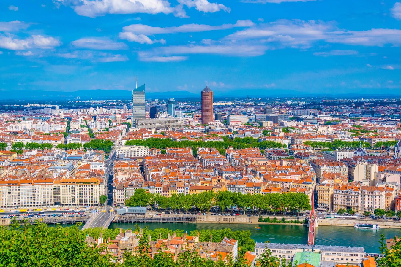 Elaborer une Charte de l’arbre : pourquoi et comment ? REX de la Métropole du Grand Lyon