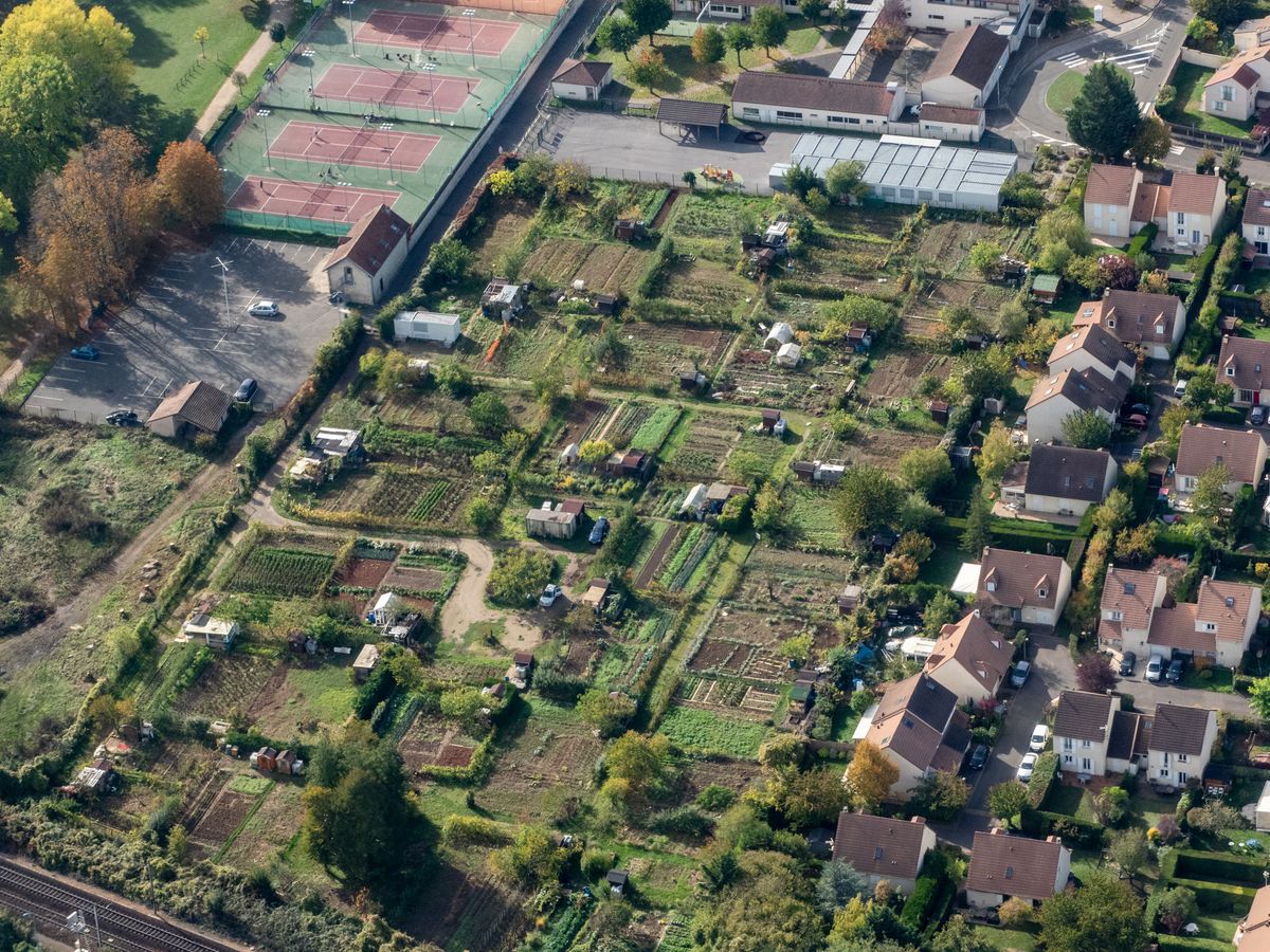 Agriculture urbaine : jardins collectifs, un modèle de développement durable pour les villes
