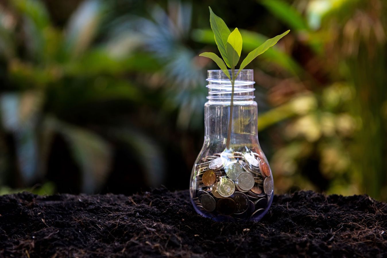 #ANB2022 Comment optimiser les financements en faveur de la biodiversité ?