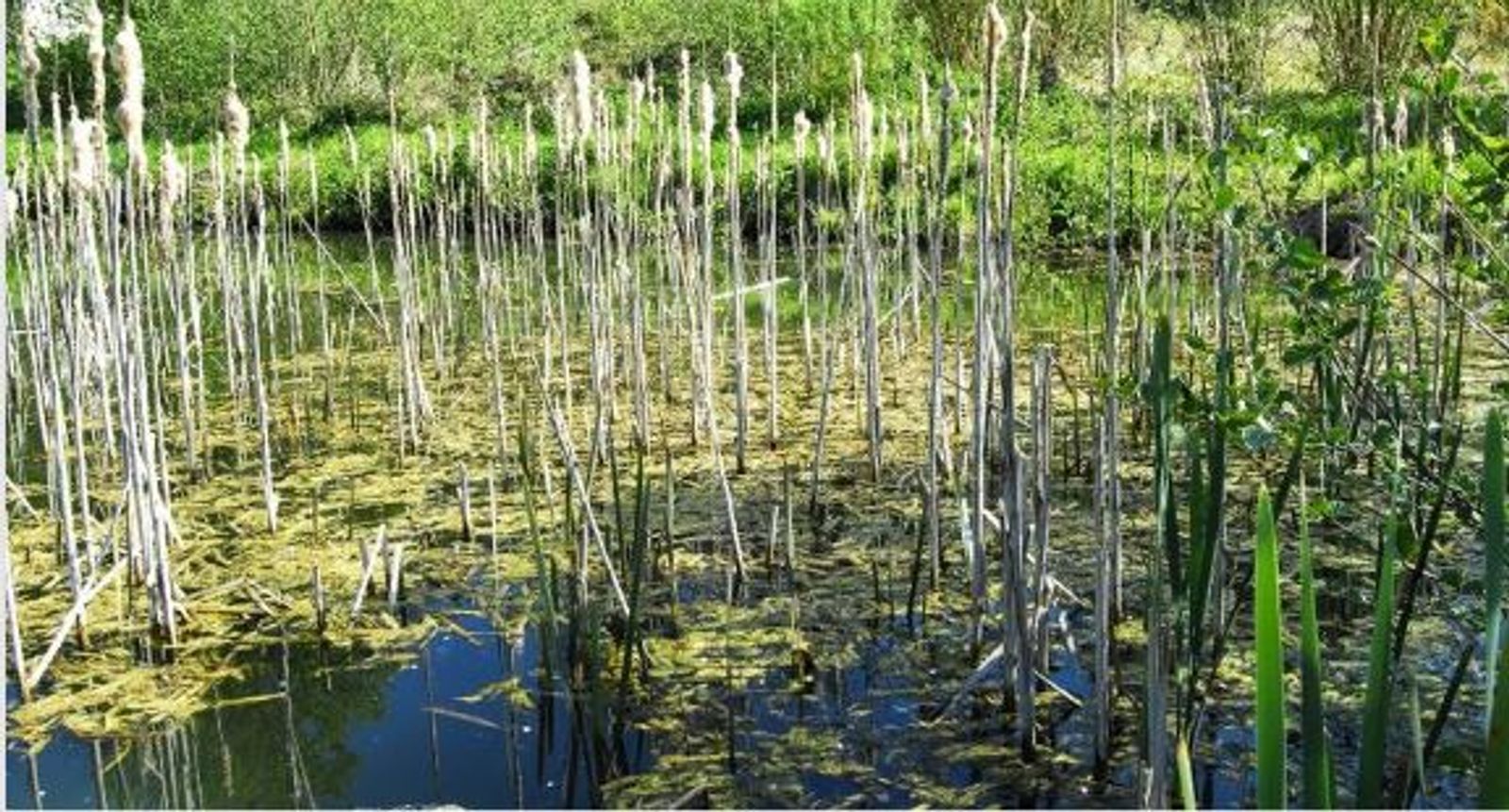 #ANB2022 Résilience et adaptation au changement climatique