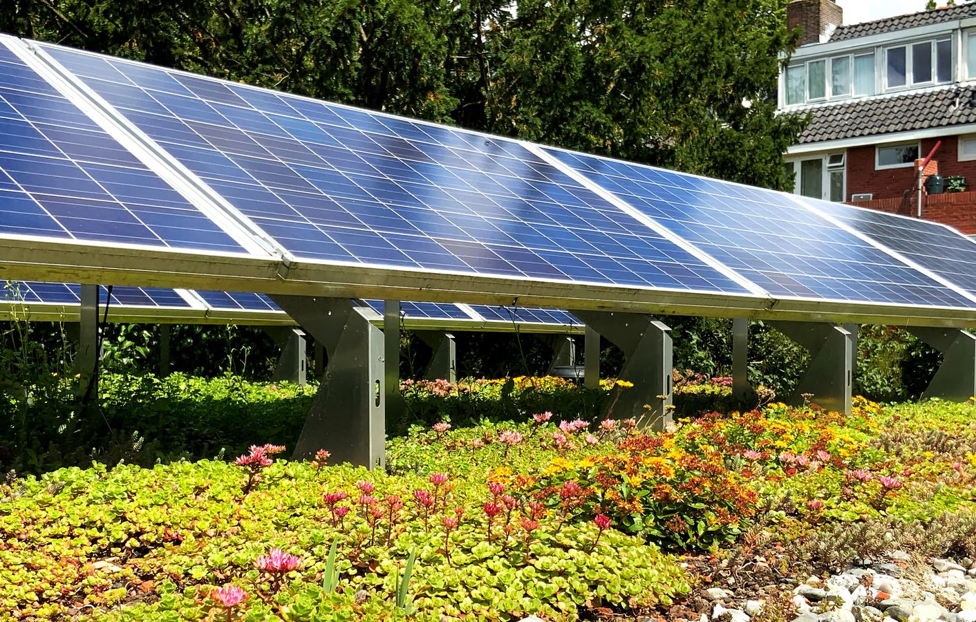 #ANB2022 Quelle intégration de la biodiversité dans les projets photovoltaïques au sol ?
