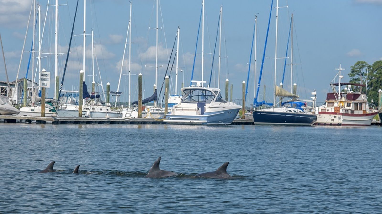 Ports et biodiversité : Comment les ports s'adaptent aux enjeux climatiques ?