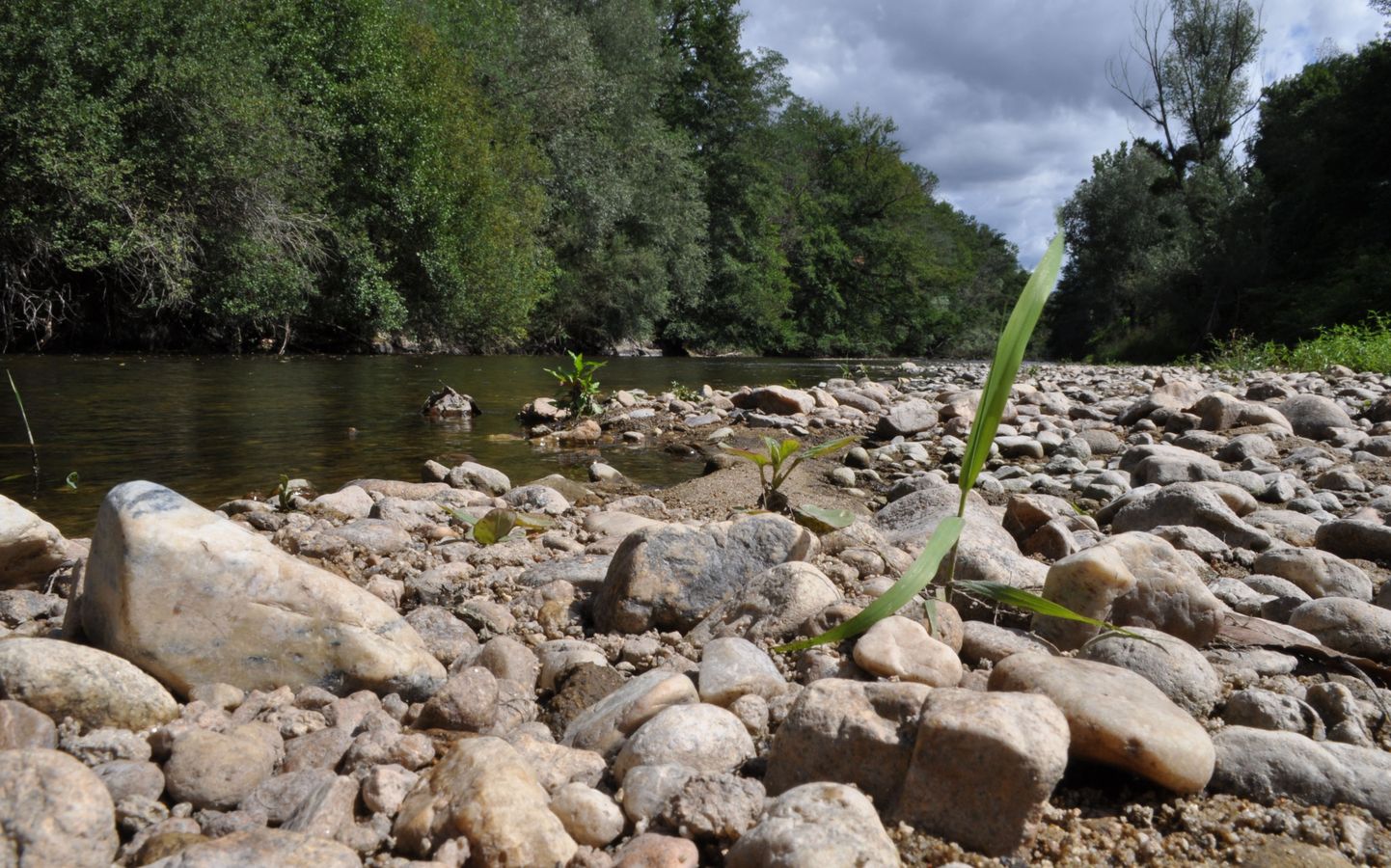 Pour des territoires résilients face au dérèglement climatique, agir dès aujourd’hui - SP - #CGLE 2023