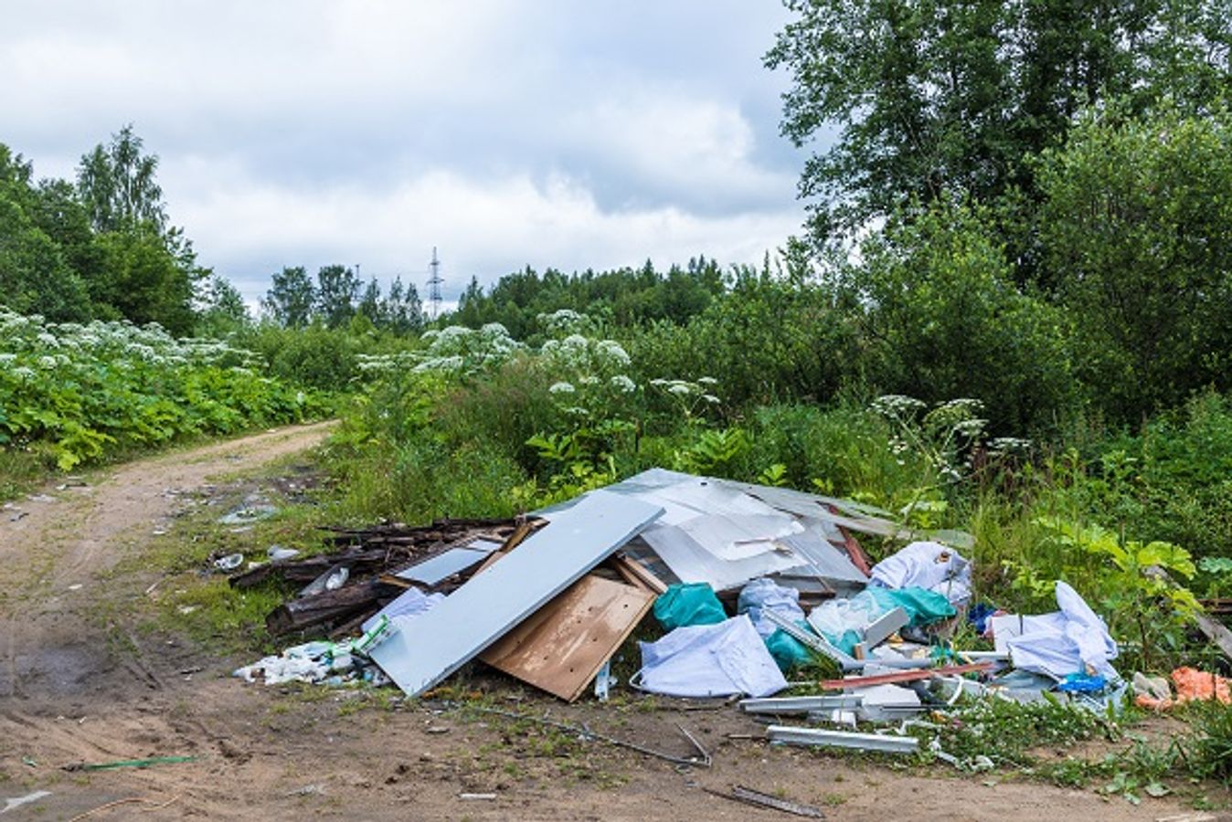 Lutte contre les dépôts sauvages : point juridique et temps d'échanges