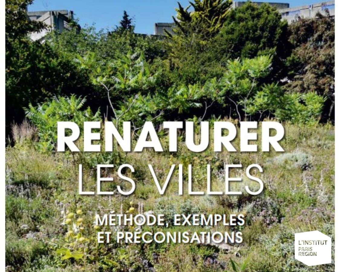 Renaturer les villes : quelles étapes essentielles ?
