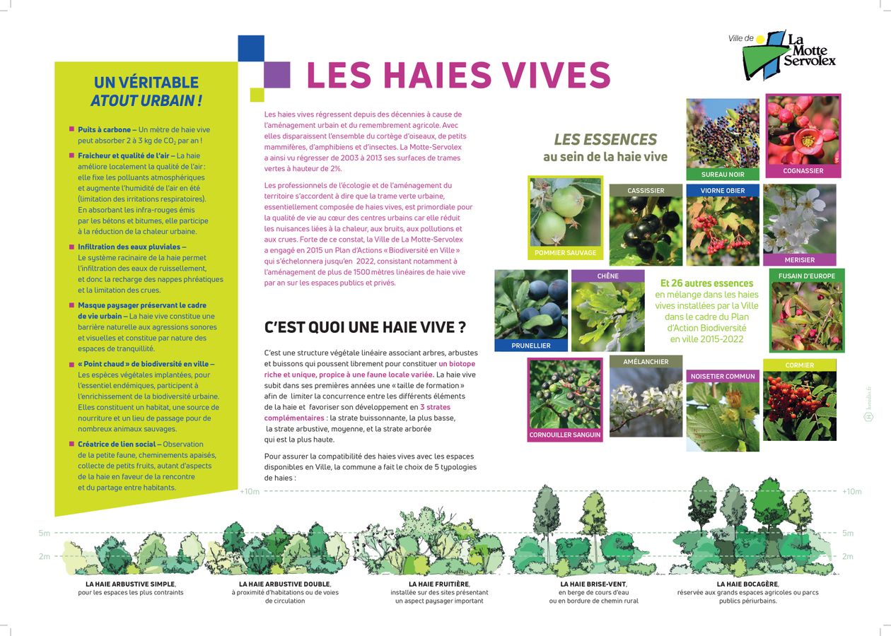 Retex : Implantation de végétaux d'essences locales, haies et prairies fleuries