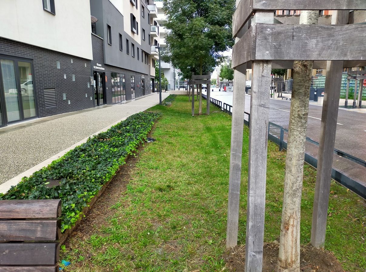 2/3 Découvrez la stratégie de désimperméabilisation d'Angoulême