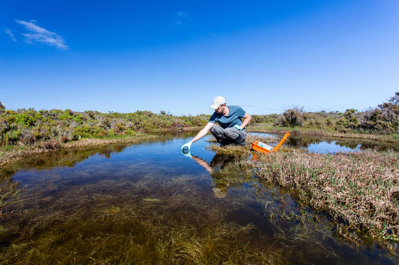 Comment suivre et évaluer les Solutions fondées sur la nature ?