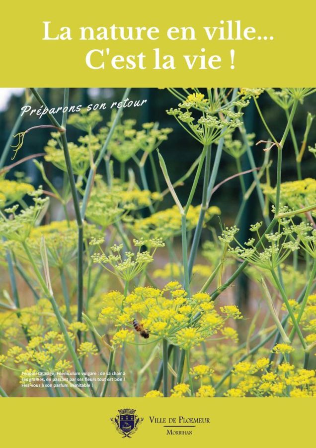 Retex - Ploemeur : Une politique de développement durable ambitieuse pour restaurer la biodiversité