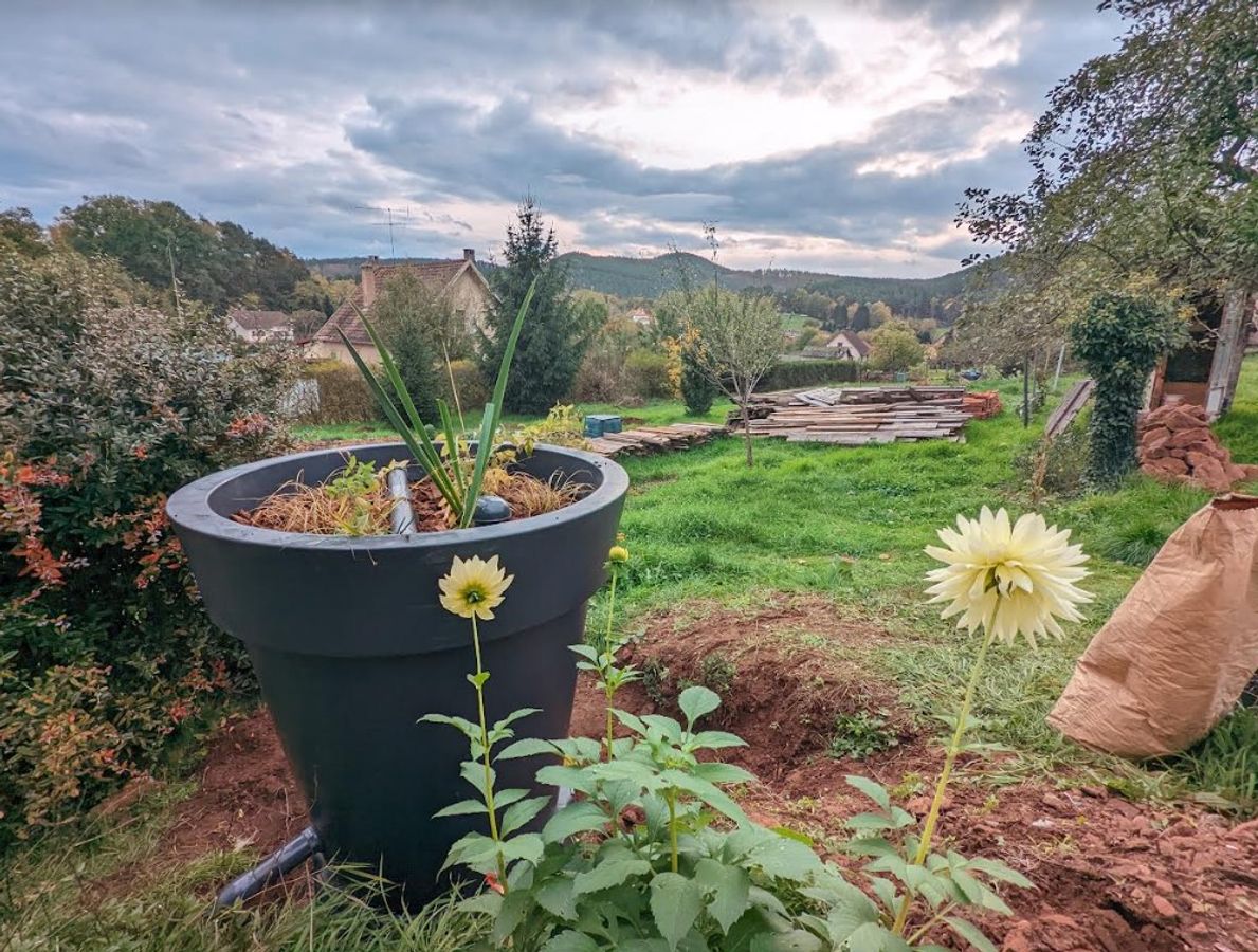 La "PhytoRéut" : une alternative à l'eau potable pour arroser son jardin