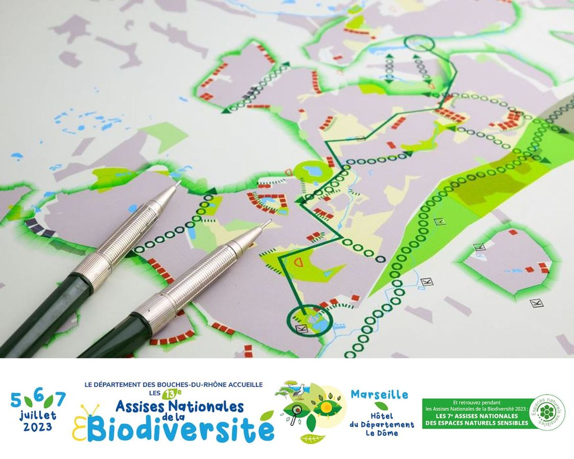 La complémentarité des échelles territoriales pour répondre aux enjeux de préservation de la biodiversité  🌿 #ANB2023
