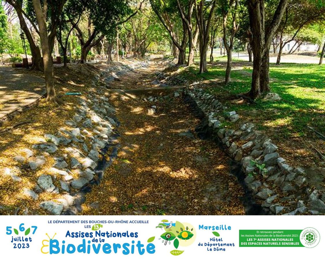 Eau et biodiversité, les départements se mobilisent pour concilier les enjeux 🌿 #ANB2023