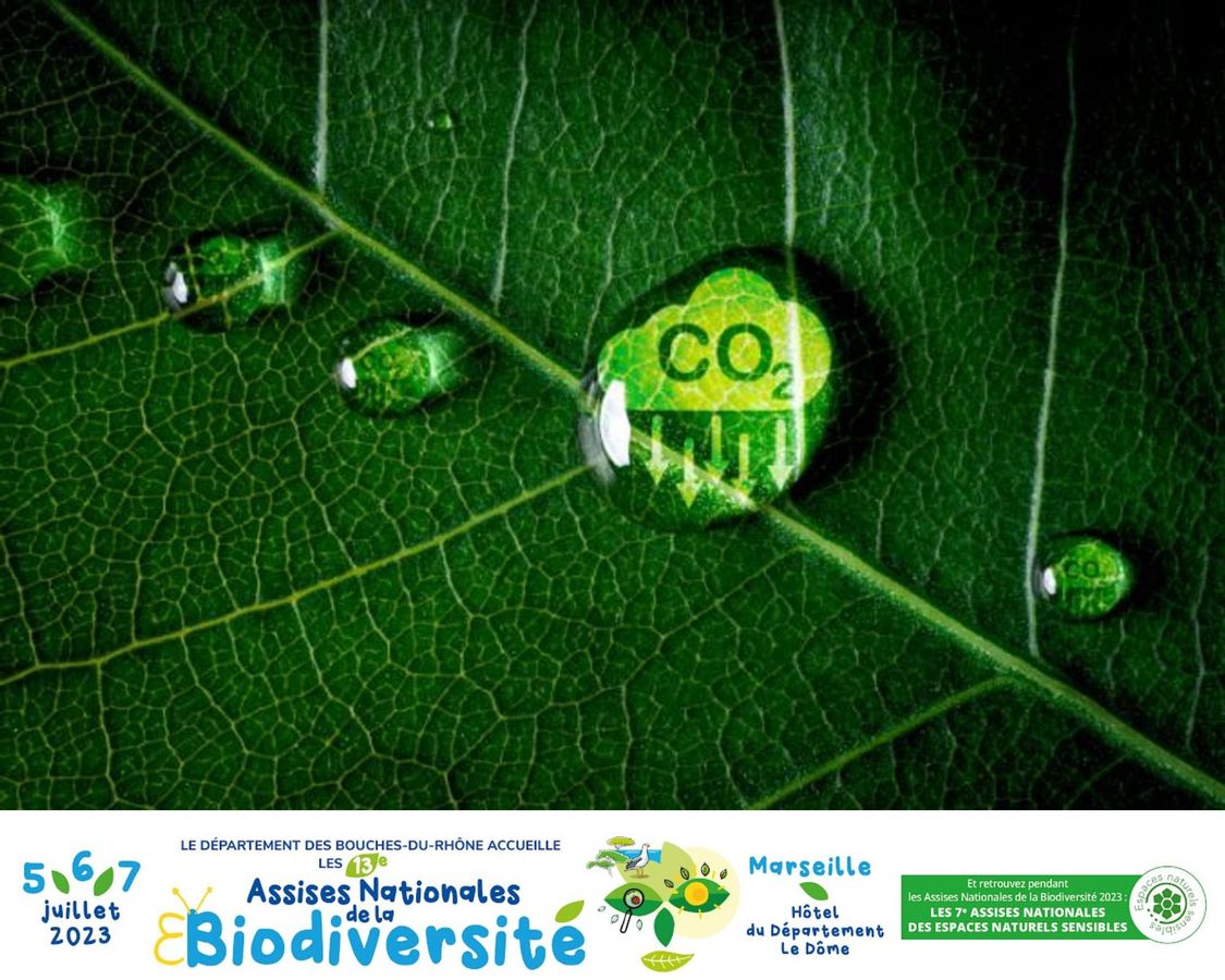 Des crédits carbones bons pour la biodiversité 🌿#ANB2023