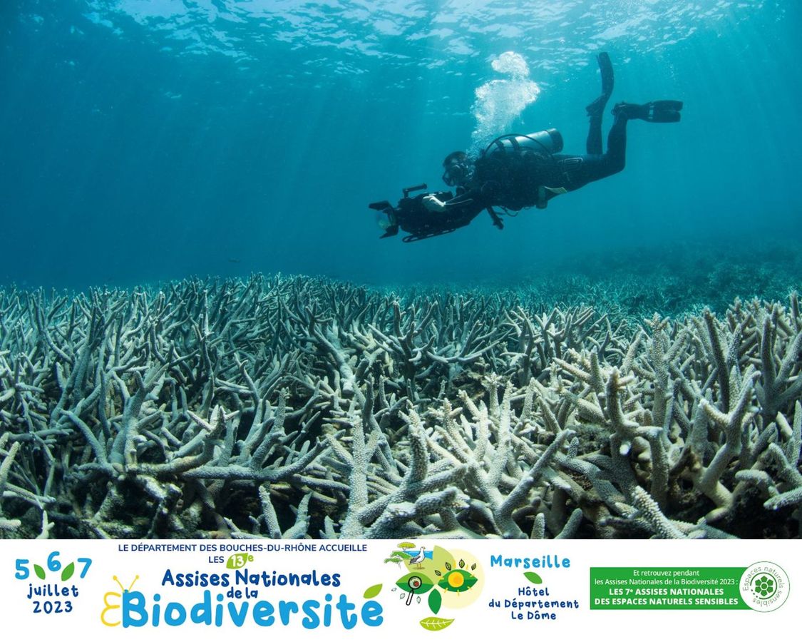 Réchauffement climatique et impact sur la biodiversité marine 🌿 #ANB2023