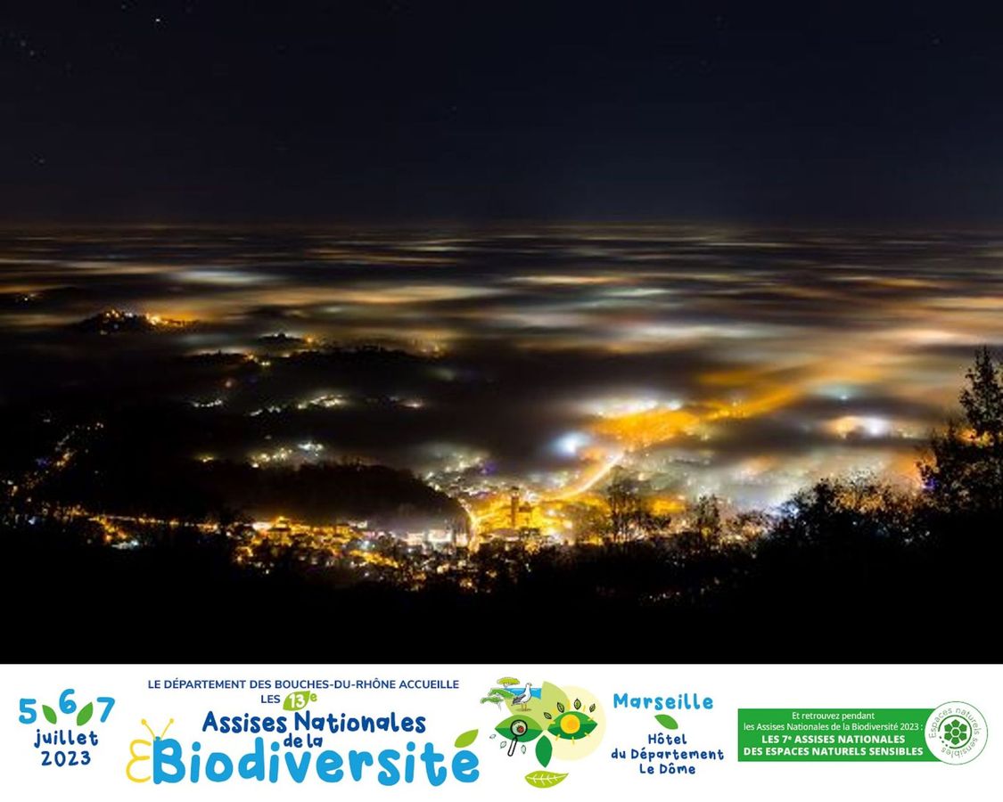 Pollution lumineuse et biodiversité : Enjeux, ressources nationales mobilisables et retours d’expériences  🌿 #ANB2023