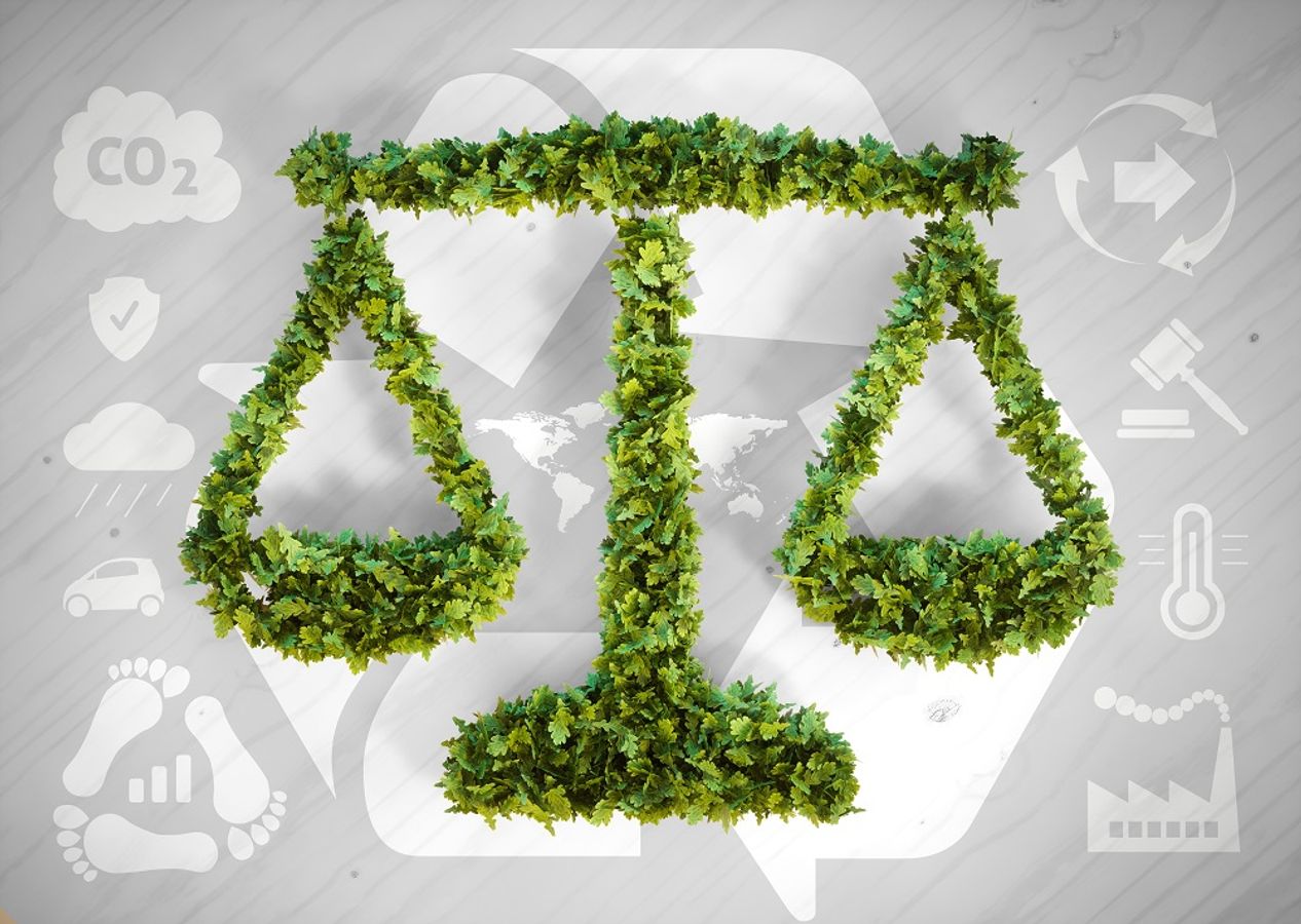 Le verdissement de la commande publique : comment bien définir son critère environnemental ?