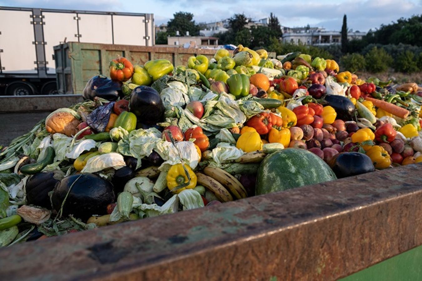 Marché Zéro Déchet : retours d'expériences