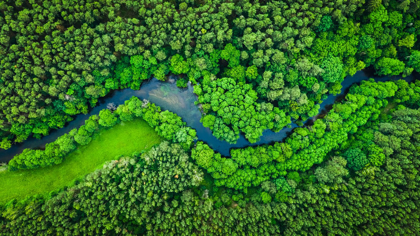 ECIF en Seine-et-Marne : réduire le morcellement des forêts en s’appuyant sur des échanges et cessions amiables