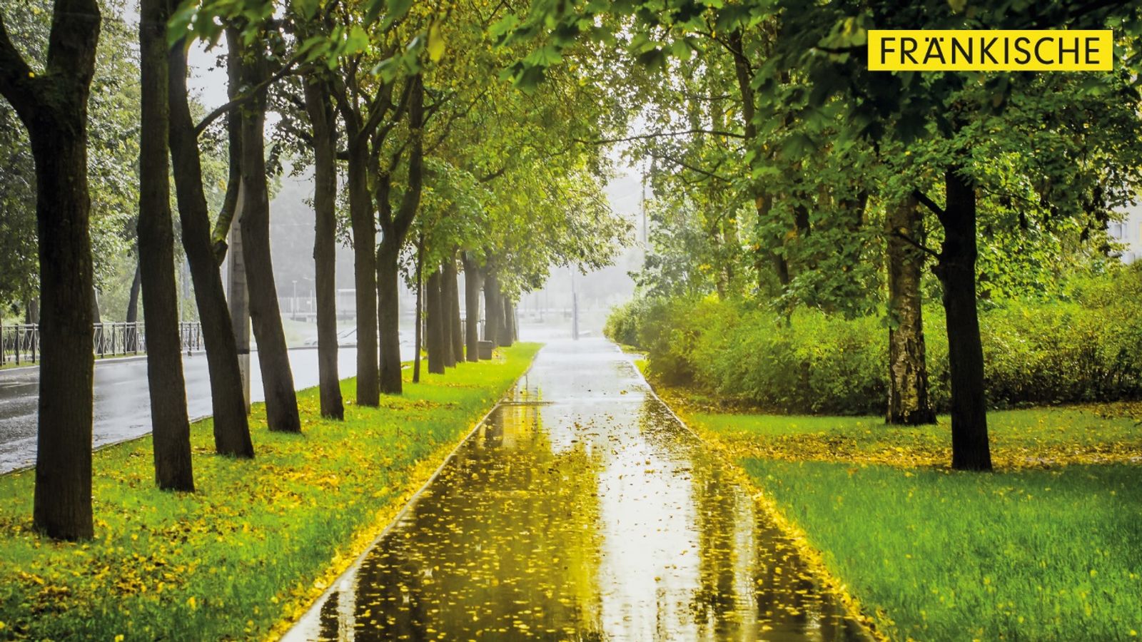 Les solutions de gestion de l’eau pluviale fondées sur la nature - F28 - #CGLE 2024