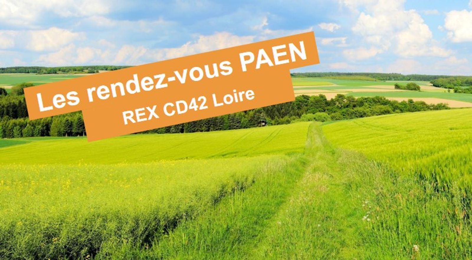 [Les rendez-vous PAEN] REX du CD42 Loire : une implication forte du local et un pilotage assidu