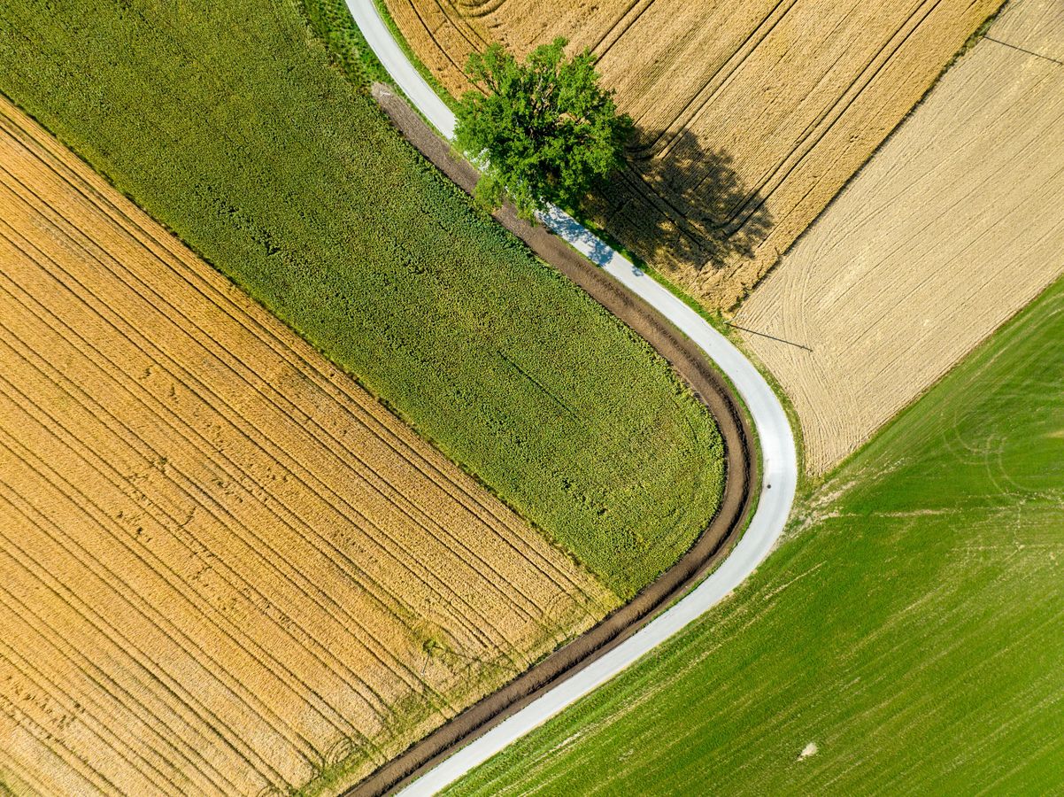 Etat des lieux des dispositifs de protection renforcée du foncier agricole et naturel : ZAP et PAEN