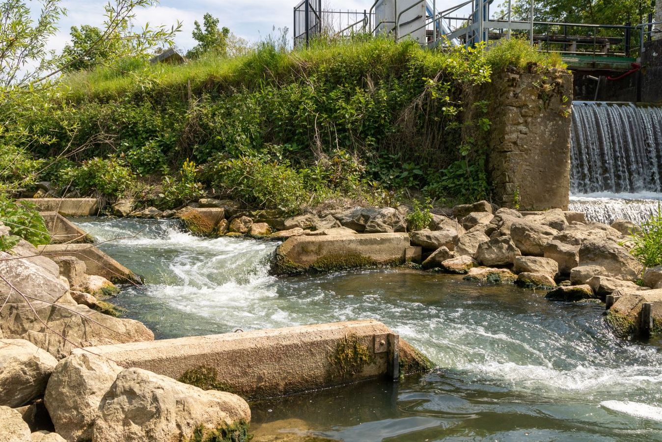 Comment franchir les obstacles à la restauration de la continuité écologique des cours d'eau ?