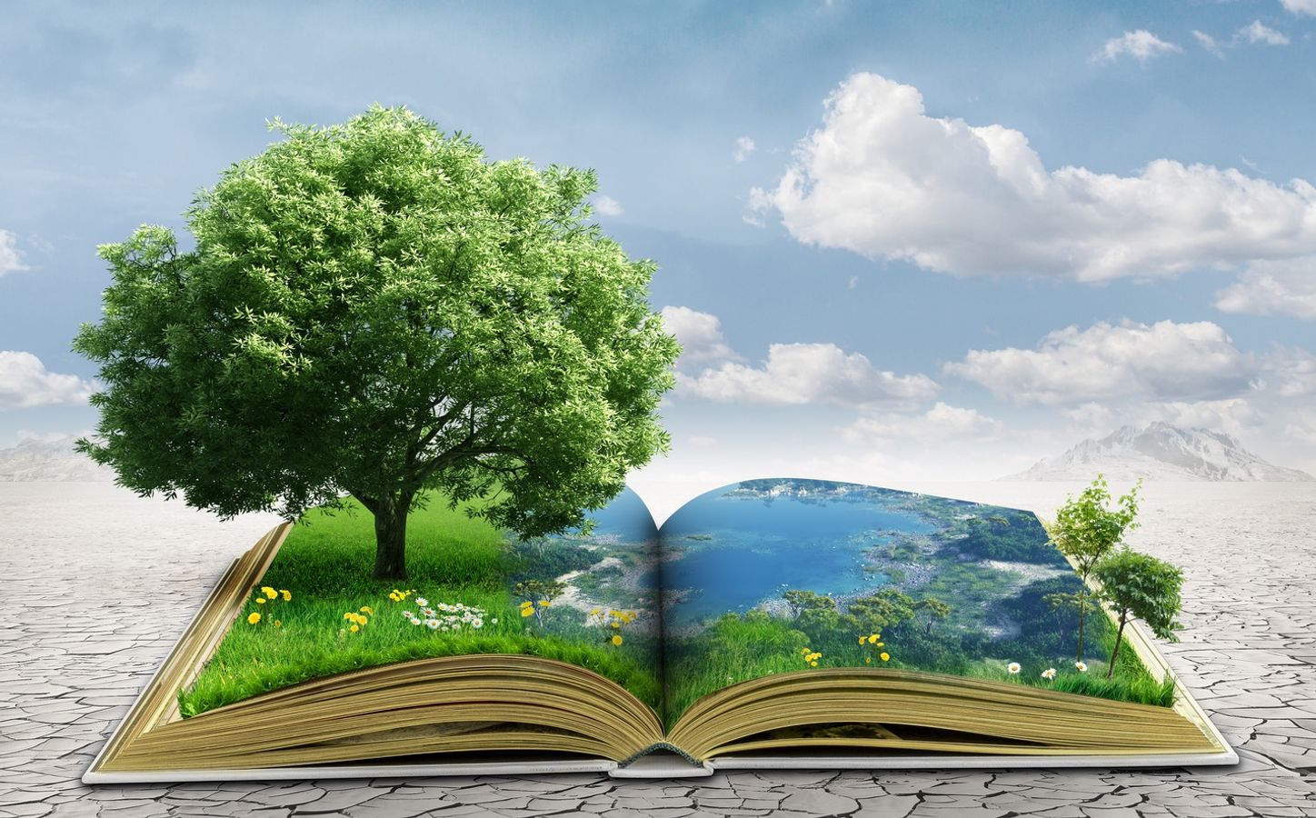 Education à l’environnement et au développement durable (EEDD) adaptés aux Plans climat air énergie territorial (PCAET)