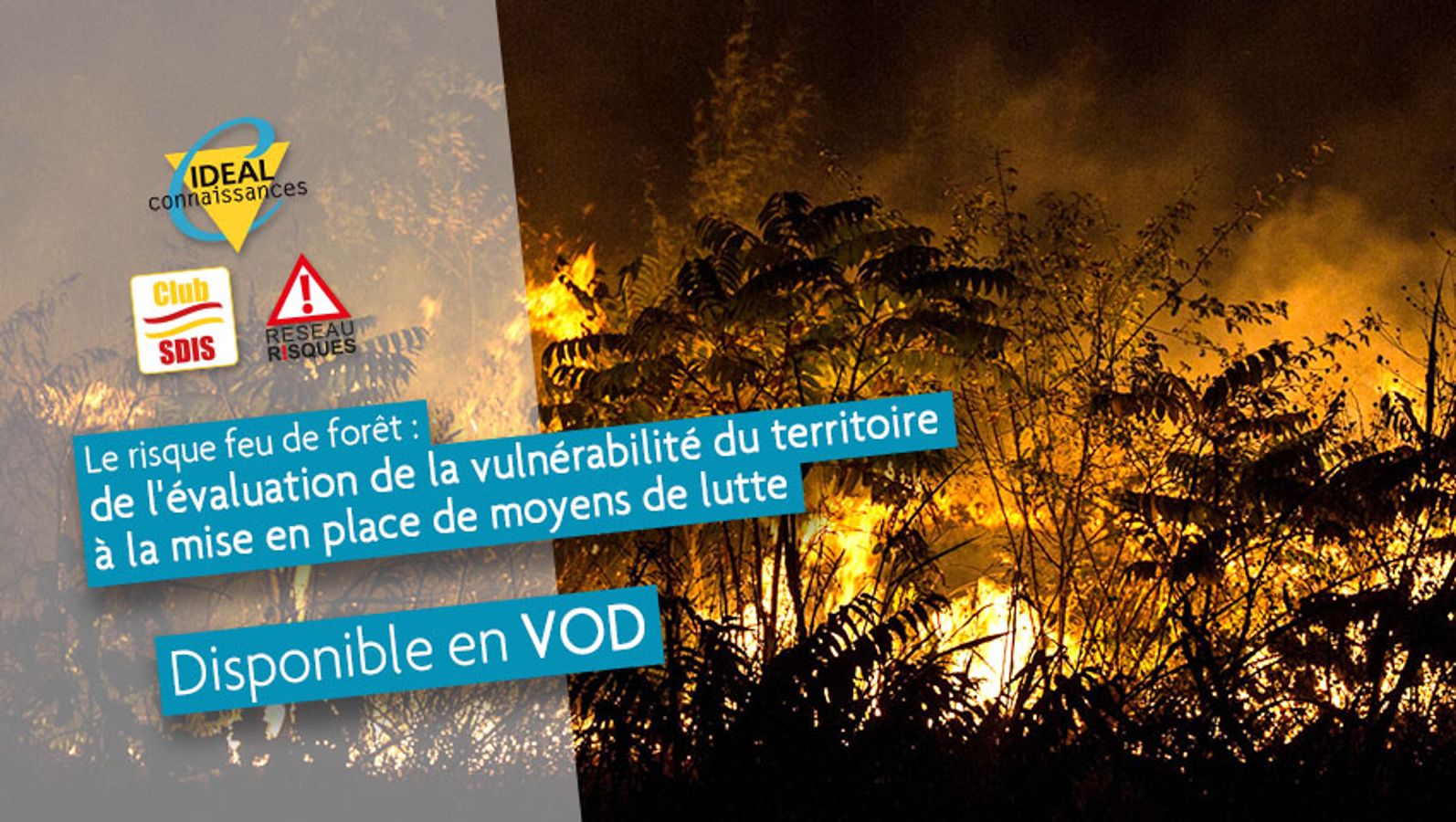Le risque feu de forêt: De l'évaluation de la vulnérabilité du territoire à la mise en place de moyens de lutte