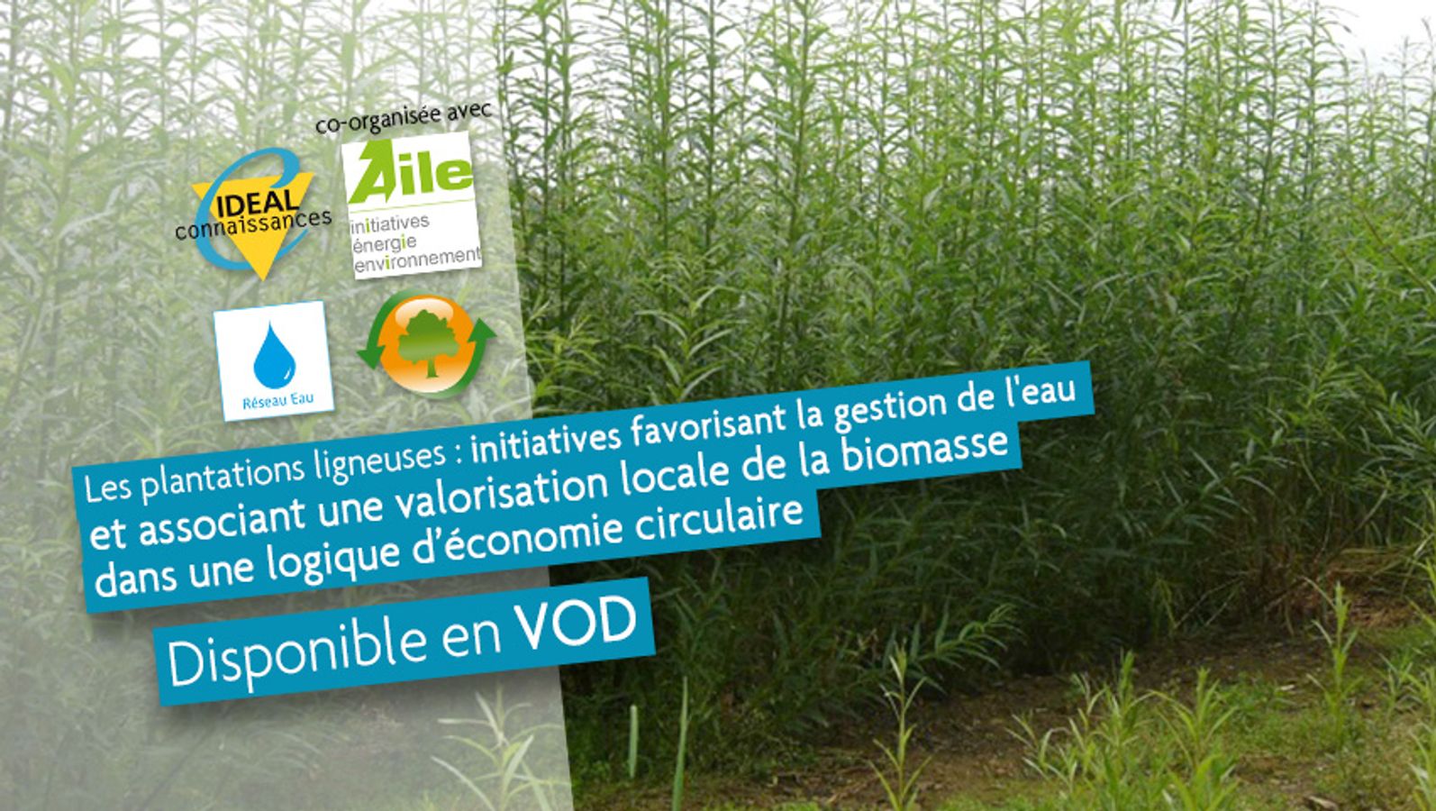 Les plantations ligneuses : initiatives favorisant la gestion de l'eau et associant une valorisation locale de la biomasse dans une logique d’économie circulaire