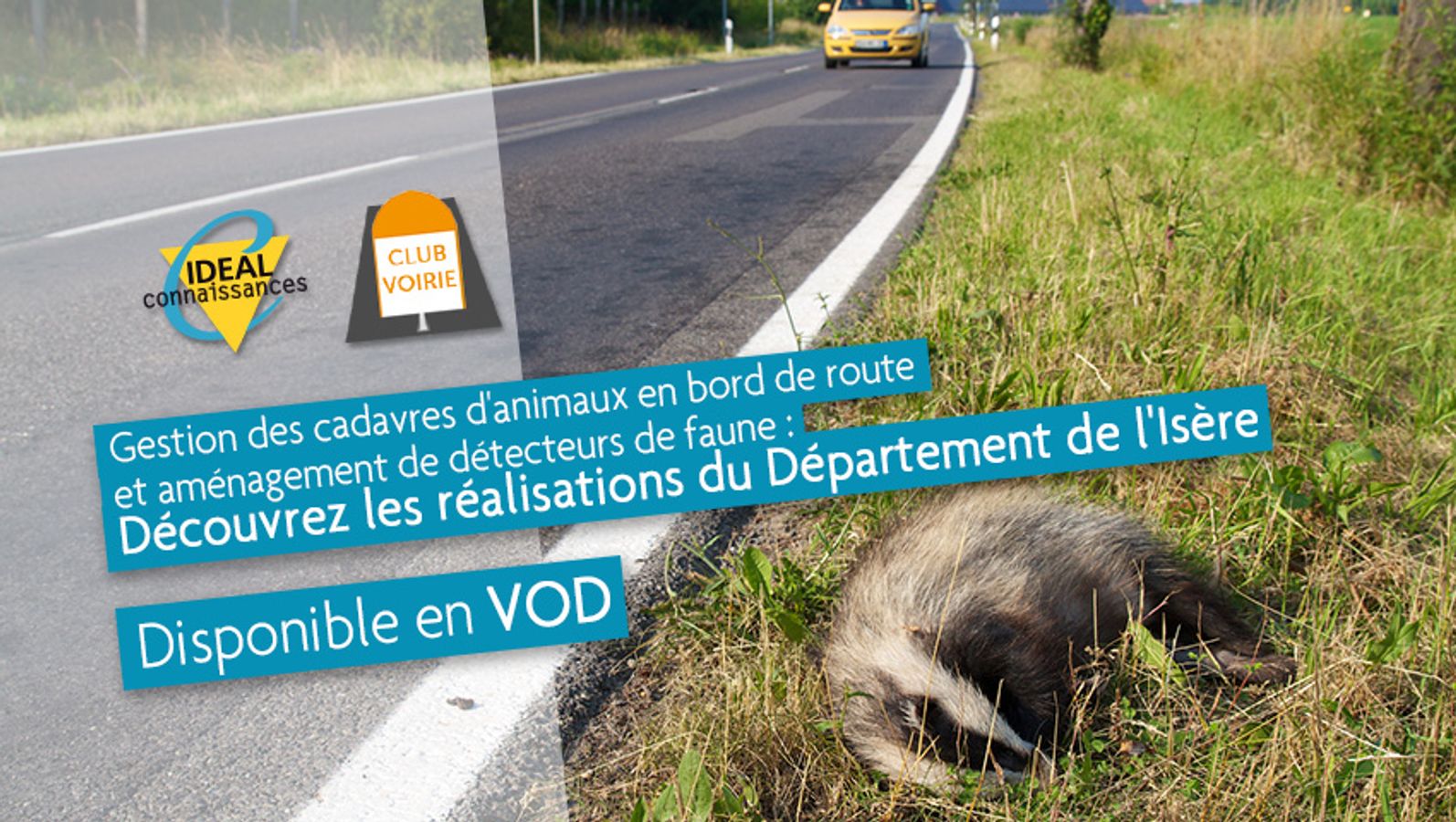 Gestion des cadavres d'animaux en bord de route et aménagement de détecteurs de faune: Découvrez les réalisations du Département de l'Isère