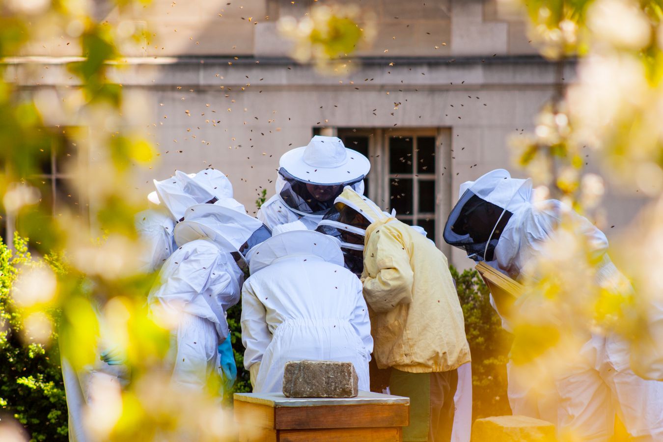 [ANB 2017] L'Agence Française pour la Biodiversité en action