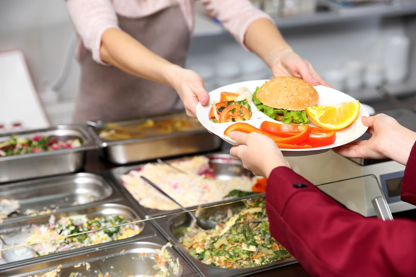 Mettre en place une politique de haute qualité alimentaire dans les collèges: l'exemple du Département de l’Hérault