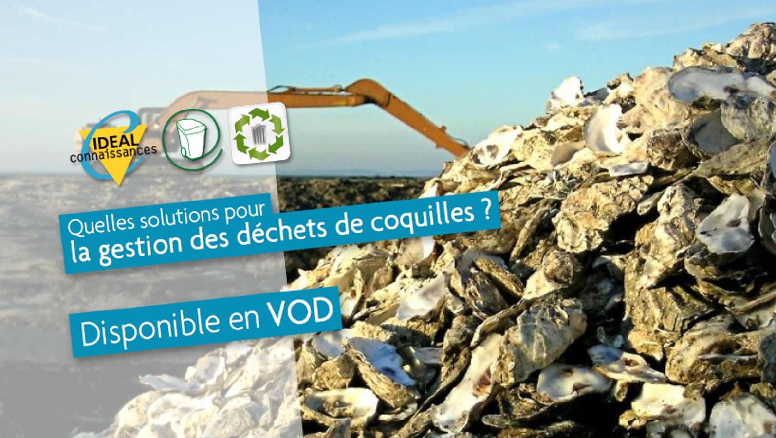 Quelles solutions pour la gestion des déchets de coquilles ?